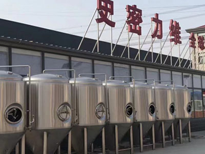 赣县精酿啤酒设备厂—市场规模与跨界新需求